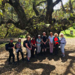 Cyprus-small-walking-holidays-groups