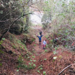 Cyprus-walking-in-the-forest