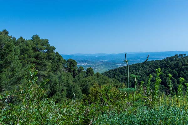 Mijas-landscape-on-the-walk