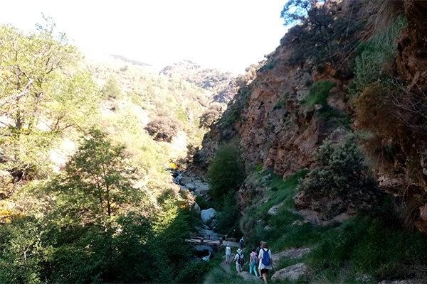 Small-wooden-bridge-in-the-walking-trail