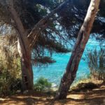 Andalucia Sept Group Day 2c