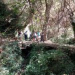 Andalucia Sept Group Day 2ff