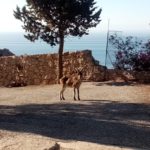 Andalucia Sept Group Day 2i