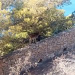 Andalucia Sept Group Day 2k