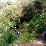 Andalucia Sept Group Day 2ll