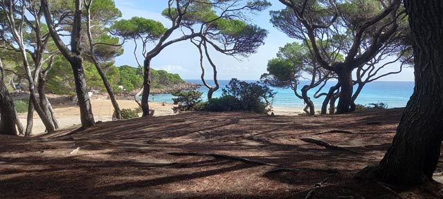 Cala Aguila Pines