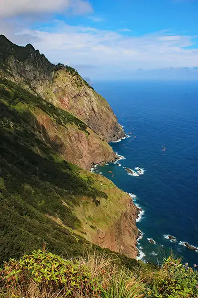 Cliffs-at-Madeira-north-coastDave-Timms copy