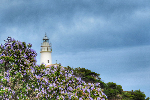 Walking-holiday-photo-competition-image-15