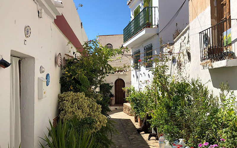 Walking-in-Andalucia-1