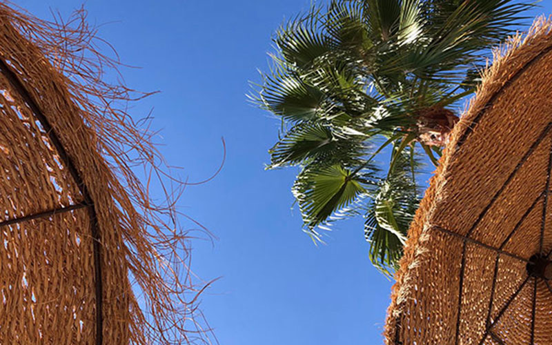 Walking-in-Andalucia-12