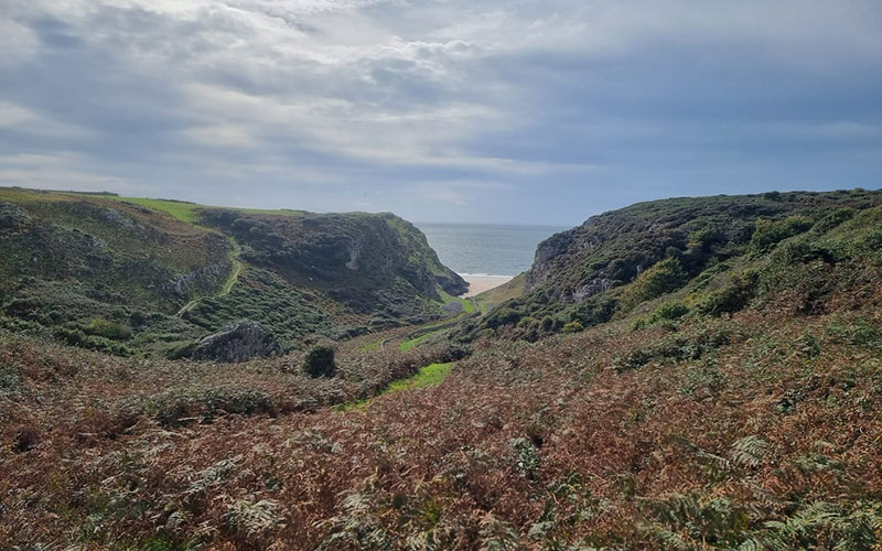Walking-in-the-Gower-2