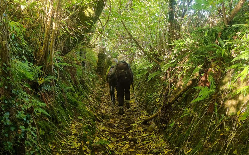 Walking-in-the-Gower-4