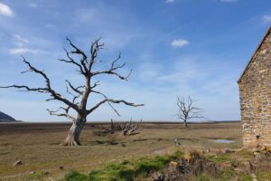 Involved-Holidays-Photo-comp-3