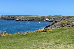 Involved-Holidays-Photo-comp-32