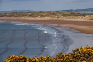 Involved-Holidays-Photo-comp-39