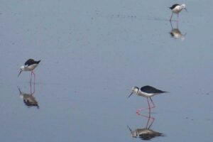 Involved-Holidays-Photo-comp-41