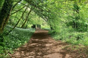 Involved-Holidays-Photo-comp-48