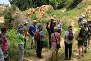 Involved-Holidays-Photo-comp-53