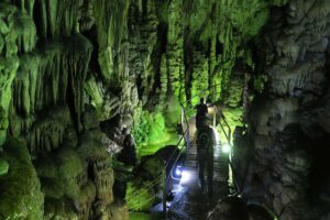 Involved-Holidays-Photo-comp-54