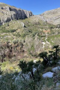 Involved-Holidays-Photo-comp-7