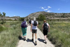 Involved-Holidays-Photo-comp-9