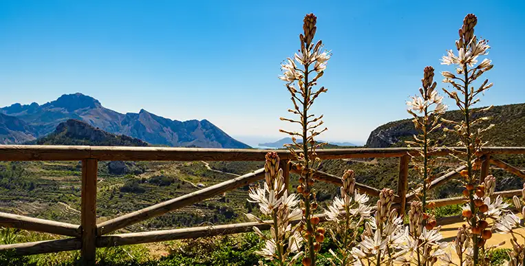 Mountain walking path