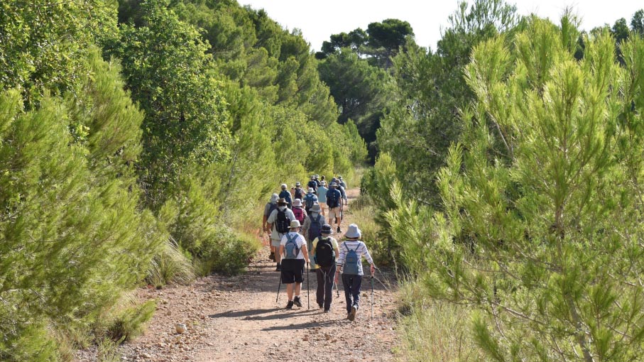 Day Two - Approaching Cala Agulla beach through the dunes.