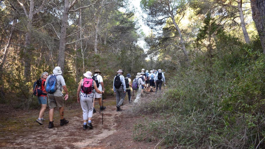 Day Two - Some shaded areas through the dunes.
