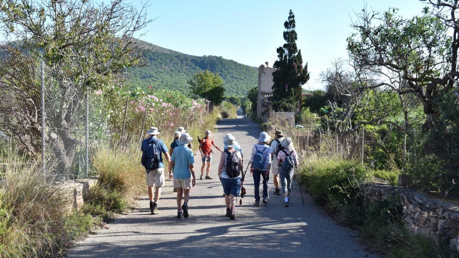 Day Two - We pass various trees and bushes including wild almond.