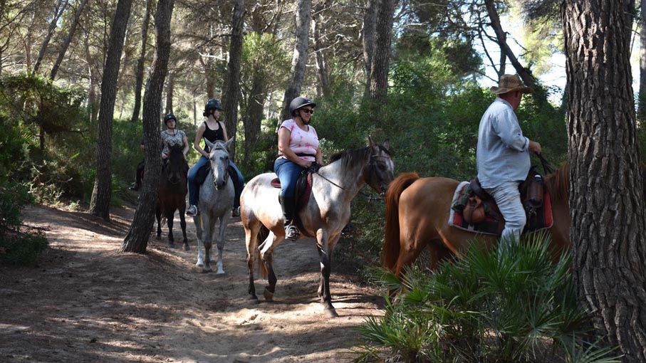 Horses crossing our path.