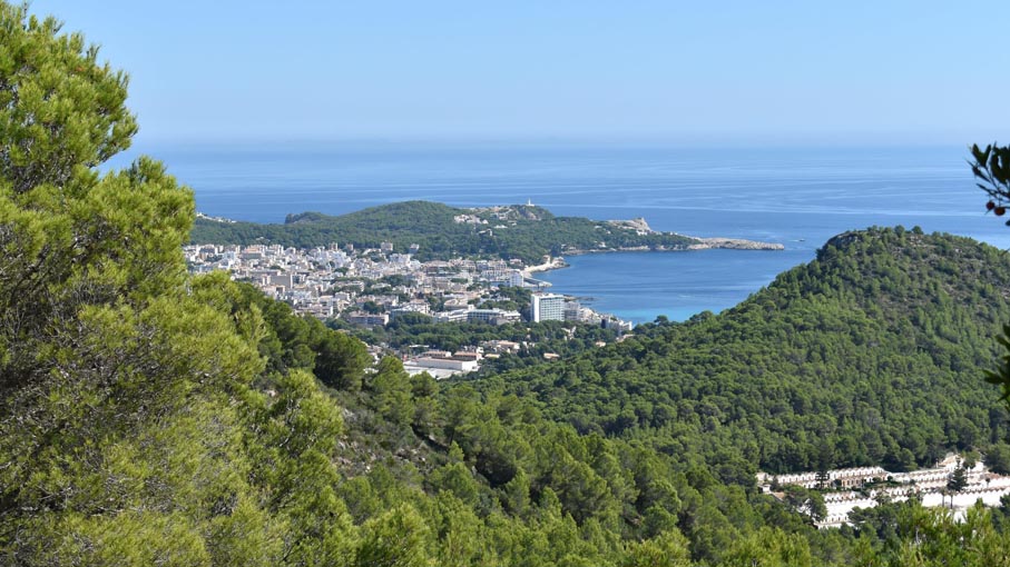 View of CalaRatjada, and the cemetery bottom right.