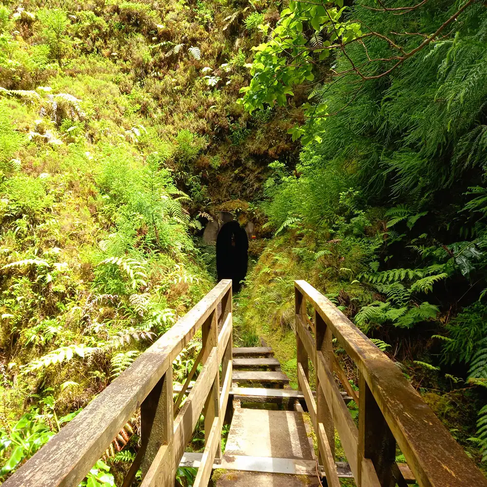 Guess-the-loaction-secret-hint-its-not-Madeira