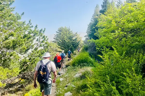 Walking-in-the-sierra-nevada-6