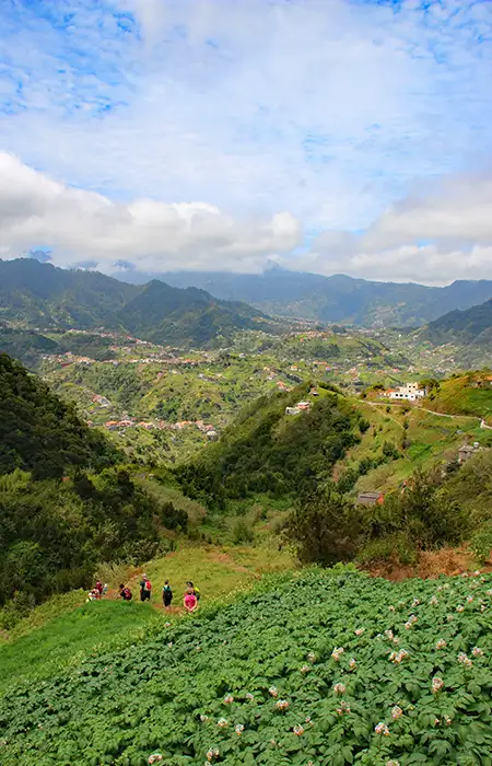 Walking-group-Madeira-Dave-T