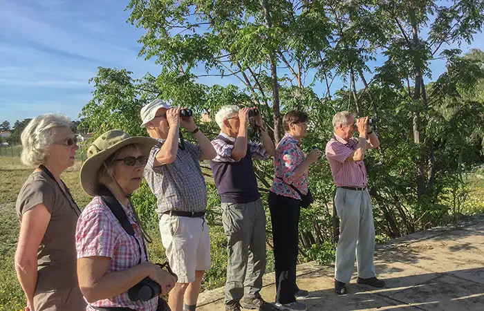 Walking in the Birdwatching 1