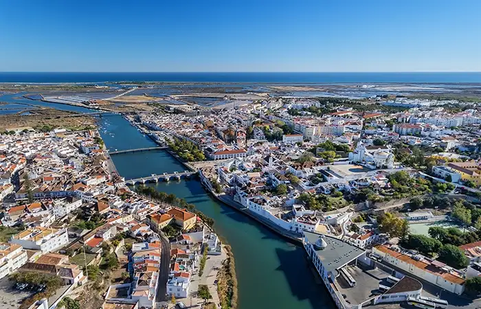 Walking in the Birdwatching 3