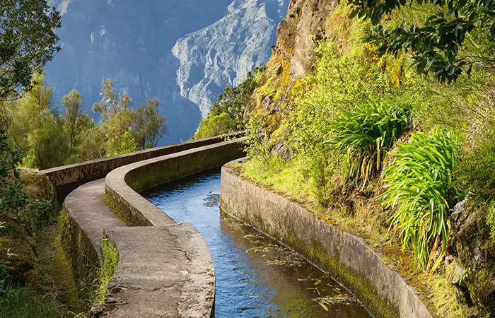 Walking in the Madeira 2