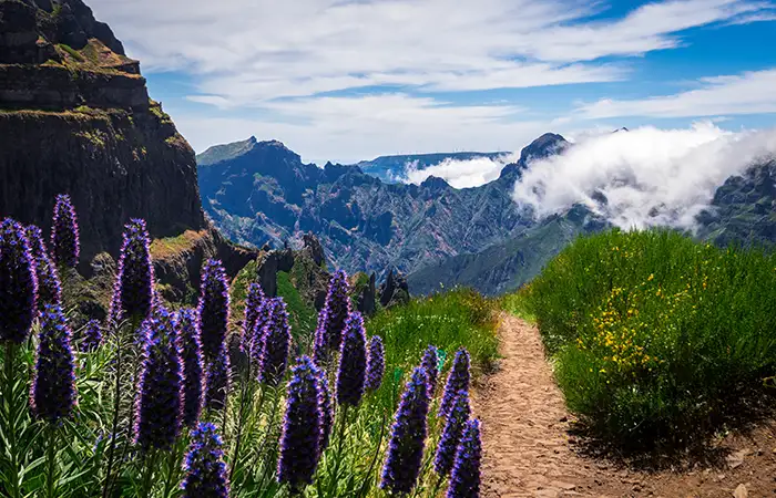 Walking in the Madeira 4