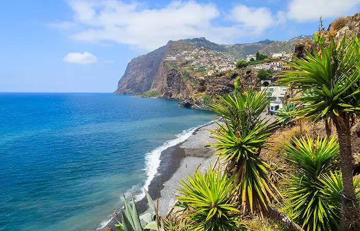 Walking in the Madeira 5