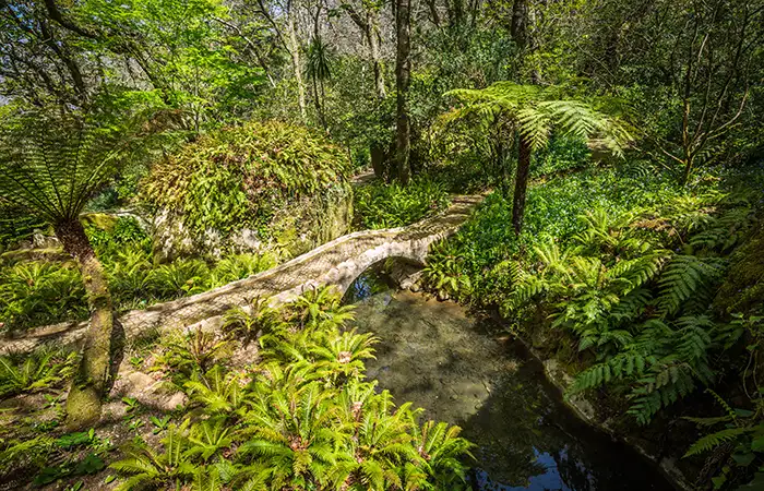 Walking in the Sintra 2