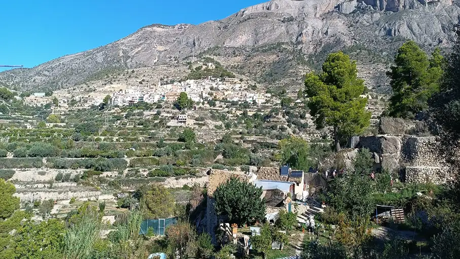 IMG-20241004-WA0013_907