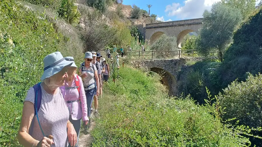 IMG-20241004-WA0018_907