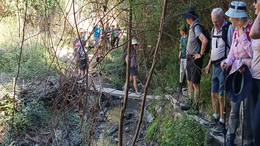 IMG-20241004-WA0024_907