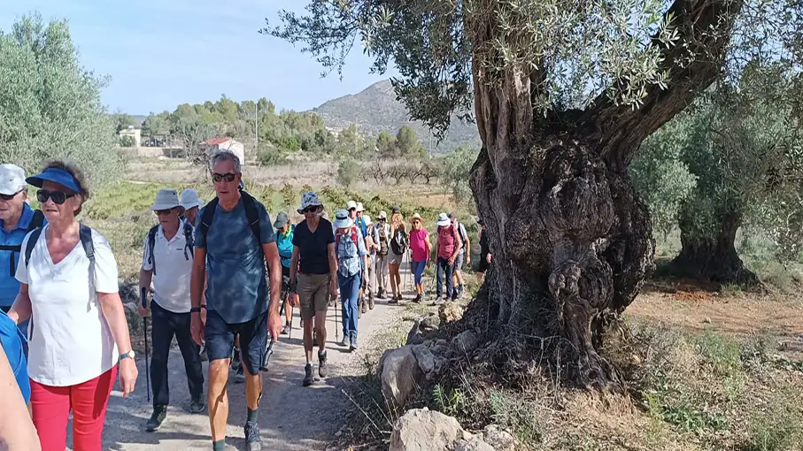 IMG-20241007-WA0010_907