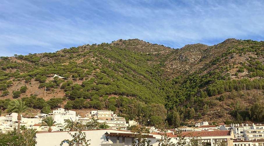 IMG-20241010-WA0024_907