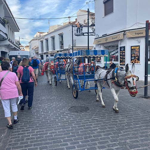 IMG-20241010-WA0025 copy