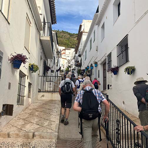 IMG-20241010-WA0029 copy