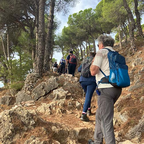 IMG-20241010-WA0030 copy