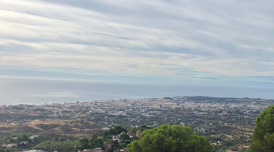 IMG-20241010-WA0031_907