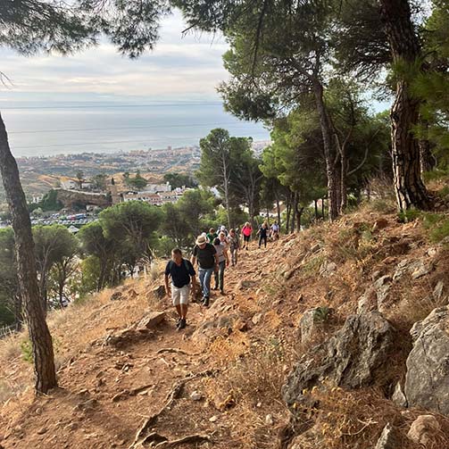 IMG-20241010-WA0033 copy